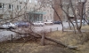 Ураганный ветер налетел на Красноярск и принес массу проблем